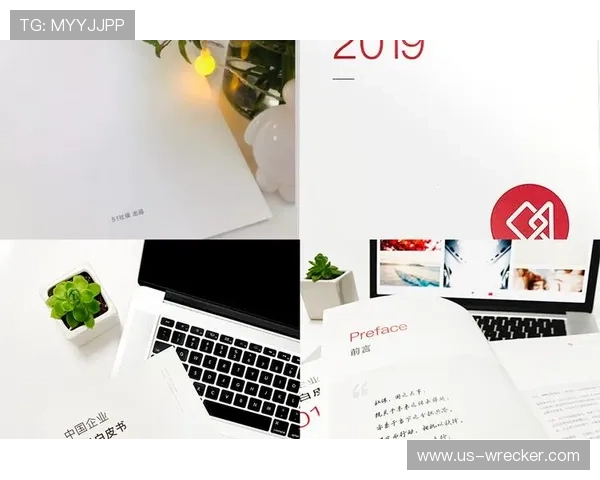 欧博代理系统官方入口在哪官方入口安全性分析与访问建议